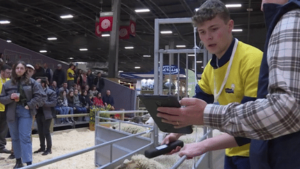 Le Salon de l’agriculture a ouvert ses portes le samedi 25 février, et de nombreux concours sont organisés jusqu'au 5 mars, comme celui qui récompense le meilleur jeune berger de France. (FRANCE 3)