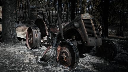 Un tracteur calciné par les incendies de forêt en Gironde, près de Pyla-sur-Mer, le 23 juillet 2022. (PHILIPPE LOPEZ / AFP)