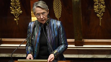 La Première ministre Elisabeth Borne, à l'Assemblée nationale, le 6 décembre 2022. (JULIEN DE ROSA / AFP)