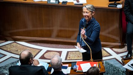 La Première ministre Elisabeth Borne à l'Assemblée nationale à Paris, le 17 janvier 2023. (XOSE BOUZAS / HANS LUCAS / AFP)