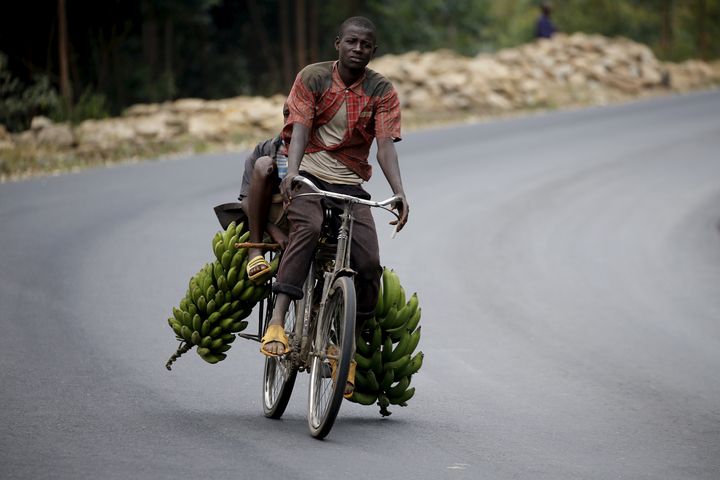 Un jeune Burundais transporte des régimes de bananes destinées à des marchés de la capitale de son pays, Bujumbura, le 19 juillet 2015. (REUTERS - MIKE HUTCHINGS / X00388)