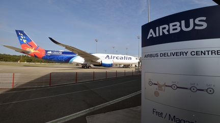 Environnement : Airbus s'inspire des oiseaux migrateurs pour réduire sa consommation en carburant