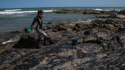 Une bénévole nettoie les plages brésiliennes souillées par des hydrocarbures, le 19 octobre 2019.&nbsp; (ANTONELLO VENERI / AFP)