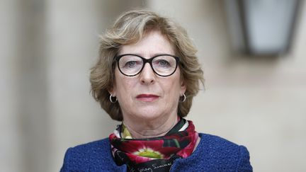 La secr&eacute;taire d'Etat &agrave; l'Enseignement sup&eacute;rieur et &agrave; la Recherche, Genevi&egrave;ve Fioraso, le 2 avril 2014 &agrave; Paris. (THOMAS SAMSON / AFP)