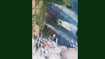 Incendies en Australie : les nuages de CO2 vont faire le tour du monde