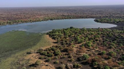 Heureusement, la réserve "a réussi à maintenir sa biodiversité. (...) Tout ce que nous voulons, c'est la garder telle quelle", affirme Omar Mohamed.&nbsp; &nbsp;&nbsp; (ABDULMONAM EASSA / AFP)