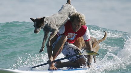 L'Australien Chris de Aboitiz surfe avec dse chiens