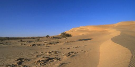 Dans le désert de l'Adrar, au centre de la Mauritanie. (AFP - Only France - Eric Beracassat)