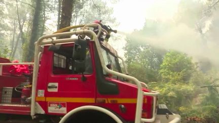 Incendies en Gironde : 5 300 hectares détruits par les flammes dans le département