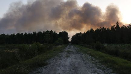 Le village de Villandraut, près de Landiras (Gironde), le 16 juillet 2022. (OLIVIER CORSAN / MAXPPP)