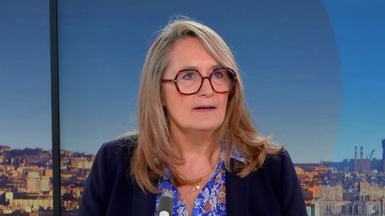 Accord du Mercosur : "Je suis pour le libre-échange mais contre le Mercosur en l'état", assure la Ministre du commerce extérieure, Sophie Primas (France Info)