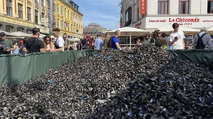 Pendant la braderie de Lille, les coquilles rassemblées dans les tas de moules sont récoltées pour être recyclées. (LOUISE FORBIN / RADIO FRANCE)