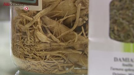 Traditionnellement consommé en Chine, le ginseng peut être consommé directement sous forme de racine à mâcher.