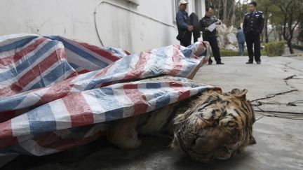 Un tigre de Sib&eacute;rie, victime de braconniers, &agrave; Wenzhou (est de la Chine), le 8 janvier 2014. (CHINA DAILY / REUTERS)