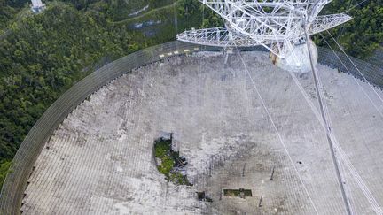 Le radiotélescope d’Arecibo sur l’île de Porto Rico. (RICARDO ARDUENGO / AFP)