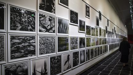  (Exposition Lucien Clergue au Grand Palais à Paris © Maxppp)