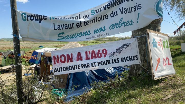 Le "camping des platanes", installé pour lutter contre l'autoroute A69, le 19 avril 2023 à Vendine (Haute-Garonne). (THOMAS BAIETTO / FRANCEINFO)