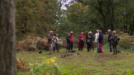 Oise : les randonnées dans la forêt de Retz affichent complet (FRANCE 2)