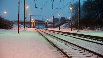  (Le train n'a pas pu passer le col de Lus-La-Croix-Haute © Maxppp)