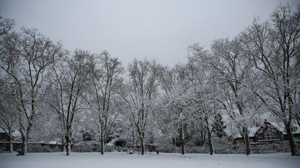 Le paysage enneigé à Brenchley, dans le sud-est de l'Angleterre, le 12 décembre 2022. (DINENDRA HARIA / ANADOLU AGENCY / AFP)