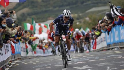 Le Français Julian Alaphilippe sur le circuit des Championnats du monde d'Imola, le 27 septembre 2020. (LUCA BETTINI / AFP)