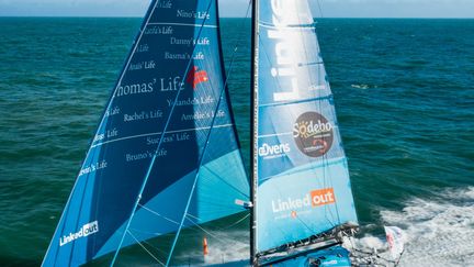 Les prénoms de Linkedout sur la voile avant
 (Pierre Bouras / TR Racing)