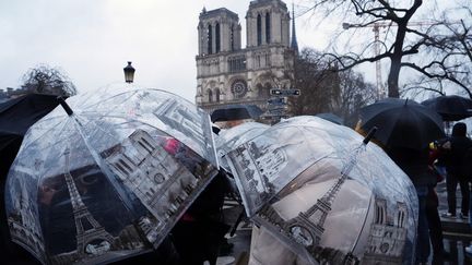 Le public observe Notre-Dame de Paris au lendemain de la cérémonie de réouverture de la cathédrale, le 8 décembre 2024. (DIMITAR DILKOFF / AFP)