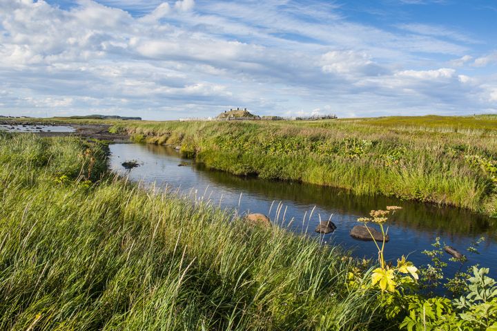 Le site canadien de L'Anse aux Meadows, site classé au patrimoine de l'UNESCO, est le seul qui atteste la présence viking en Amérique, il a été fouillé dans les années 60. (MICHAEL RUNKEL / ROBERT HARDING HERITAGE / AFP)