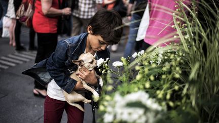 Un garçon fait renifler une rose à son chien lors du&nbsp;Festival des Roses, à Lyon, le 29 mai 2015. (JEFF PACHOUD / AFP)