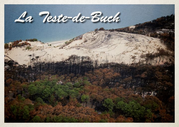 Vue aérienne de la forêt ravagée par les incendies, prise le 29 juillet 2022 près de la commune de&nbsp;La Teste-de-Buch&nbsp;(Gironde).&nbsp; (THIBAUD MORITZ / AFP / ELLEN LOZON / FRANCEINFO)