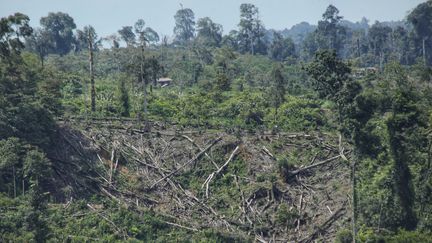 Une vue aérienne d'une forêt touchée par la déforestation dans la région de Nisam Antara, en Indonésie, le 13 octobre 2021. (AZWAR IPANK / AFP)