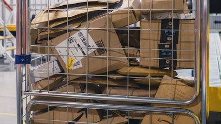 Des colis en partance dans un centre de tri de 5 000 m2 du géant de la vente en ligne Amazon, à Rivesaltes (Pyrénées-Orientales), le 21 juin 2022. (ARNAUD LE VU / HANS LUCAS / AFP)