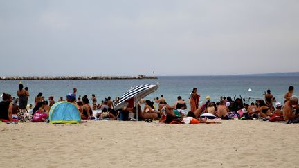 La plage des Catalans à Marseille, le 1er août 2017. (MAXPPP)