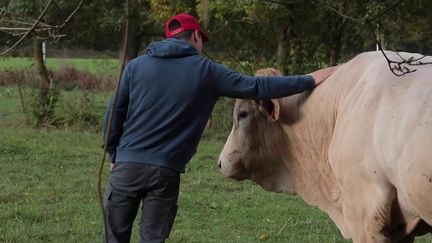 Les jeunes agriculteurs du Gers et du Tarn montent au créneau pour dénoncer le manque de mesures concrètes du gouvernement pour pallier la crise à laquelle ils font face. Rencontre avec deux d'entre eux dans le Gers.