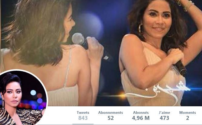 Sherine Abdel Wahab compte plus de quatre millions de followers. Sur son compte, elle s'est sentie obligée de présenter des excuses pour ses propos sur l'eau du Nil. (DR)