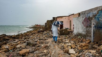 craignent par ailleurs que l’essor territorial permis par le PSE ne les dépouille de leurs biens et de leurs revenus. Et ne favorisent au final que les classes supérieures dakaroises et les investisseurs étrangers.
 (Nathalie Guironnet)