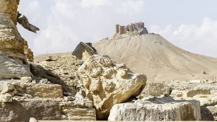 Des ruines de la cité de Palmyre (Syrie), le 4 mars 2017. (LOUAI BESHARA / AFP)