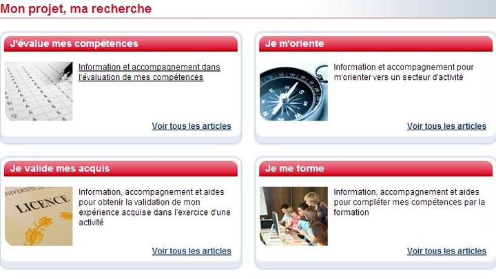 Capture d'&eacute;cran du site de P&ocirc;le emploi. (  FRANCETV INFO )