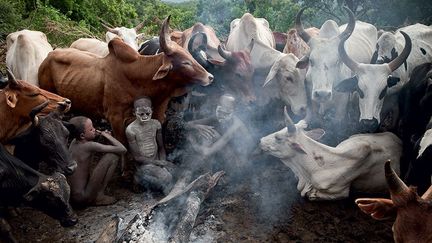 soit une dizaine de bêtes par personne, ce qui fait d'eux les éleveurs les plus riches du pays. Les enfants vivent nus au milieu de leurs troupeaux, se nourrissant du lait et du sang des bêtes.  (Hans Silvester )