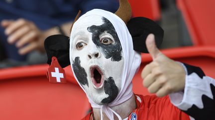 Un maquillage tacheté dans un style bovin,&nbsp;pour ce supporter suisse. (MIGUEL MEDINA / AFP)