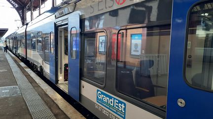 Un TER Grand Est en gare de Strasbourg. Photo d'illustration. (RACHEL NOËL / RADIO FRANCE)