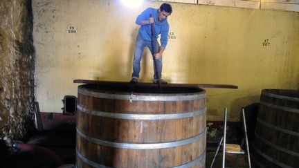 La jeune femme&nbsp;s'&eacute;tait pench&eacute;e pour observer la fermentation du vin dans le tonneau (ici, le chai d'un vigneron fran&ccedil;ais, dans l'Aude). (PASCAL PAVANI / AFP)