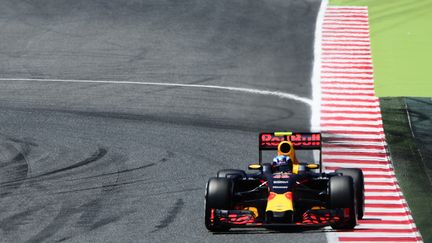 Max Verstappen (Red Bull)