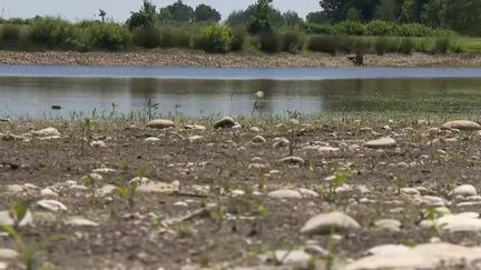 Lot : les agriculteurs essaient d’anticiper la sécheresse