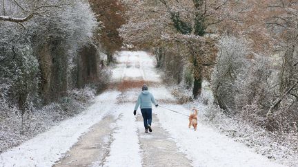 Une femme promène son chien en Vendée, le 11 décembre 2022. (MATHIEU THOMASSET / HANS LUCAS / AFP)