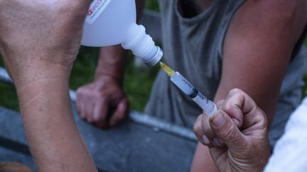 Un éleveur des Pyrénées-Orientales vaccine ses brebis, alors que le département est touché par la fièvre catarrhale ovine, le 19 juillet 2024. (ALEXANDRE BRE / HANS LUCAS / AFP)