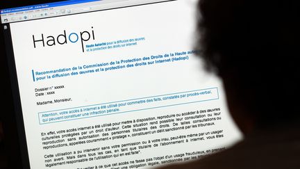 Une personne consulte une page internet de la Hadopi, le 28 septembre 2010. (THOMAS COEX / AFP)