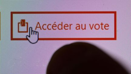 Vote par internet pour La primaire populaire, janvier 2022. Illustration (DAMIEN MEYER / AFP)