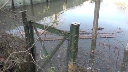 L’Indre-et-Loire est toujours en alerte rouge à cause des risques de crues. Mais la Vienne a atteint son pic, lundi 1er avril. (franceinfo)