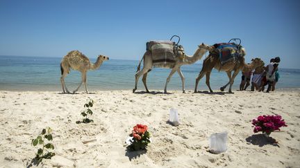 &nbsp; (Les agences de voyages s'accordent en ne demandant aucun frais pour les reports ou les annulations des séjours en Tunisie, pendant une durée d'un an. © REUTERS / Zohra Bensemra)